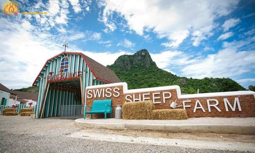 swiss sheep farm