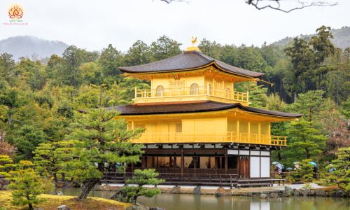 chùa vàng the golden pavilion
