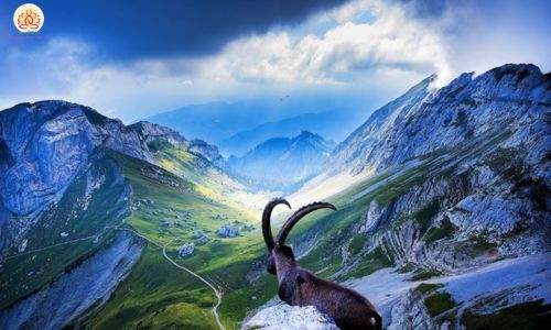 Cung đường tuyệt đẹp đến núi Titlis Thụy Sĩ