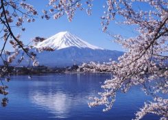 Tour Nhật Bản Ngắm Hoa Anh Đào 6 ngày 5 đêm : OSAKA - KYOTO - PHÚ SĨ - OSAKA