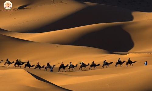 Sa mạc Safari - Khám phá miền đất cổ tích tại Dubai