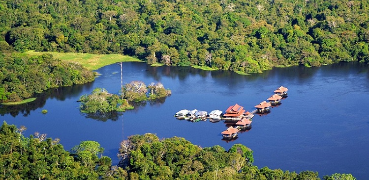 Khám phá rừng Amazon