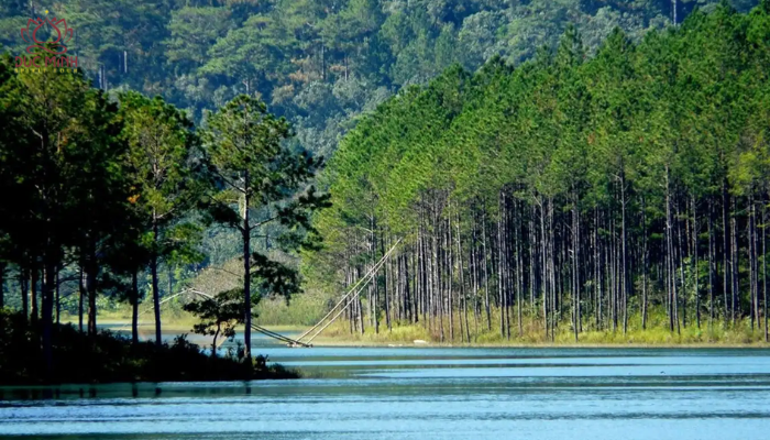 Hồ Tuyền Lâm